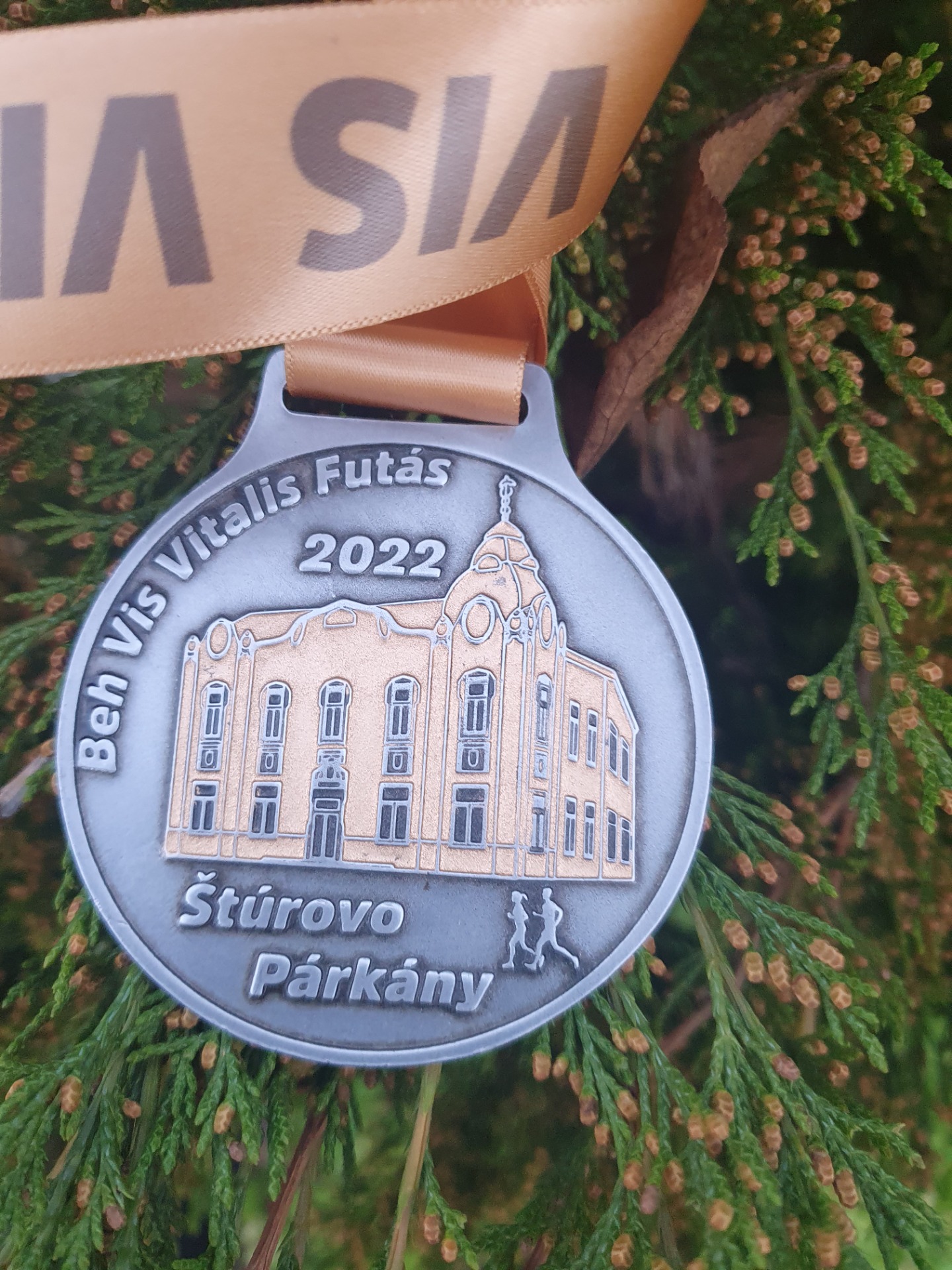 Medaila 2022 Érem